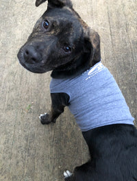 Dog Muscle Shirt