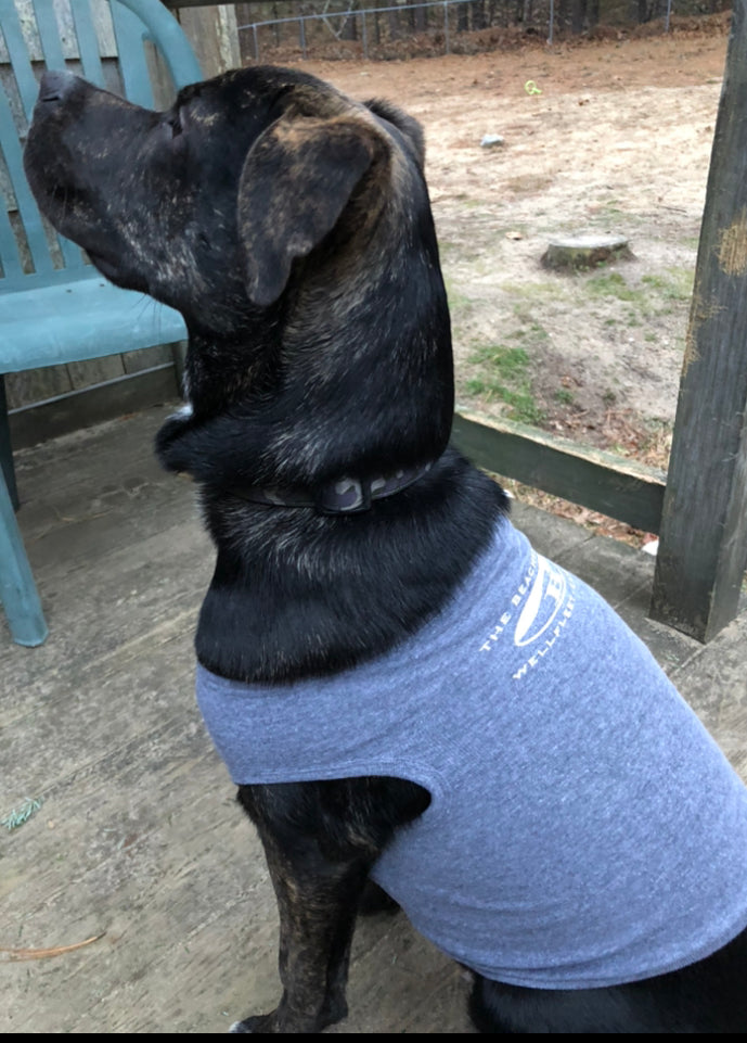 Dog Muscle Shirt